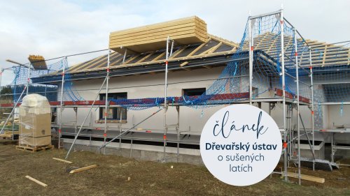 Drevarsky-ustav-o-susenych-latich.jpeg